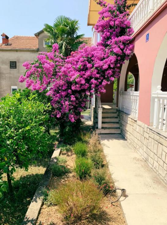 Peaceful, Cosy Tivat Guesthouse Εξωτερικό φωτογραφία